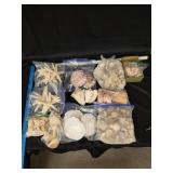 Seashells & Sea Decor