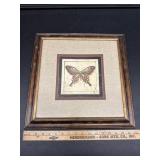 Butterfly Framed Print 17x17