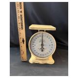 VTG American Family Scale