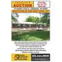 Duplex Absolute Auction