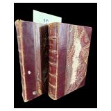 2 VOLUMES OF 1860 MY NOVEL BY BULWER