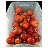 LARGE LOT OF WOODEN DECORATIVE APPLES