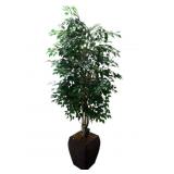 LIGHTED FAUX FICUS TREE