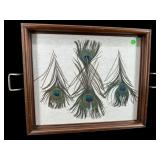 2 HANDLED WALNUT TRAY WITH PEACOCK FEATHERS