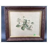 CARVED WALNUT VICTORIAN BOTANICAL PRINT