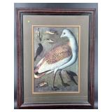 EXTRA LARGE TRIPLE MATTED BIRD PRINT