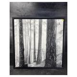 MODERN DESIGN FORESTRY PHOTOGRAPH ON PLAQUE