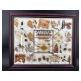 FRAMED NAVAJO DYE CHART