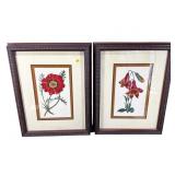 2 UTTERMOST MAHOGANY FRAMED FLORAL PRINTS