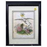 HYDRANGEA IN CROWN IMPERIAL BY J.J. GRANDVILLE