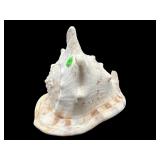 LARGE CONCH SHELL