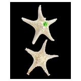 PR OF NATURAL STARFISH