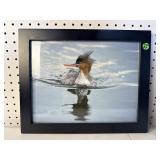 SWIMMING DUCK PHOTO