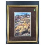 FALL GRASSES IN THE CATALASE MOUNTAINS BY JIM