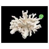 PIECE OF DECORATIVE CORAL