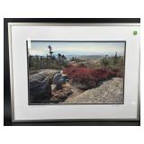 CADILLAC MOUNTAIN AUTUMN JIM WALKER ARCHIVAL