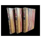 3 VOLUMES OF DRYDEN