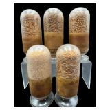 SET OF 5 ANTIQUE AGRICULTURAL JARS
