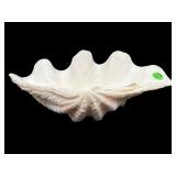 LARGE CLAM SHELL