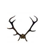 LARGE SET OF RESIN ANTLERS