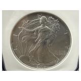 2007 EARLY RELEASE GEM UNC SILVER EAGLE