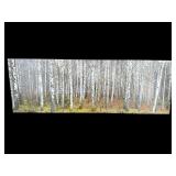 FOREST SCENE PRINT ON CANVAS