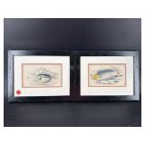 2 FISH LITHOGRAPHS IN FRAMES