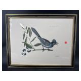 ENGRAVING OF CREFTED JAY