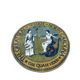 ROUND MACHINE MADE NC SEAL RUG