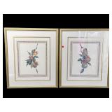 LOT OF 2 GASSISBURG FRUIT STILL LIFE PRINTS