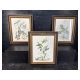 3 JAMES LOCKHART WILDLIFE PRINTS