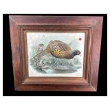 PHEASANT PRINT IN RUSTIC FRAME