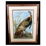 WILD TURKEY PRINT IN BURLED FRAME