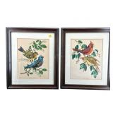 2 WILDBIRD STILL LIFE PRINTS