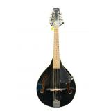 VINTAGE JOHNSON MODEL MA-100-B MANDOLIN