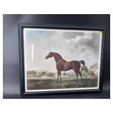 SWEET WILLIAM HORSE PRINT