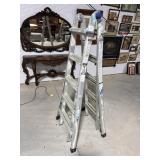 WERNER ALUMINUM LADDER
