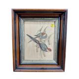 WALNUT EBONIZED SHADOWBOX FRAME WITH EXOTIC BIRD