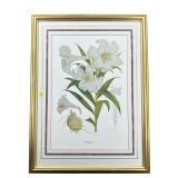 WILLIAM LILIUM LONGIFLORUM FLORAL PRINT