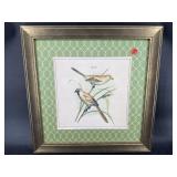 BIRD PRINT