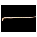 ANTIQUE CARVED WOODEN WALKING STICK CANE( IT
