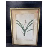 FLORAL DECORATIVE ENGRAVING PRINT