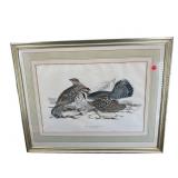J & E GOULD PRINT OF HAZEL GROUS
