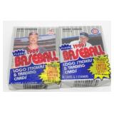 2 Sealed Cello Packs of 1989 Fleer Baseball Cards