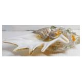 * Hand Blown Glass Conch Shell
