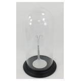 * 12" Tall Glass Dome by 7" Diameter Wood Base