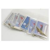 Northwest Pilots Kids Badge / Pin w/ Cards (Set