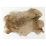 Tanned Rabbit Hide