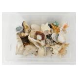 ** Tote Full of Shells