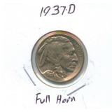 1937-D Buffalo Nickel - Full Horns